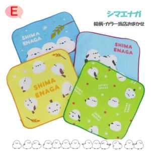 小学生 文房具 ギフトセット 5点セット こど...の詳細画像5