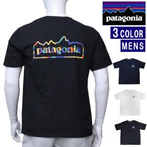 186005 patagonia  パタゴニア 半袖TシャツXL　ショートパンツ36 メンズ 2点まとめ売り [260224HM220028] patagonia（パタゴニア） 【並行輸入品】パタゴニア Tシャツ メンズ