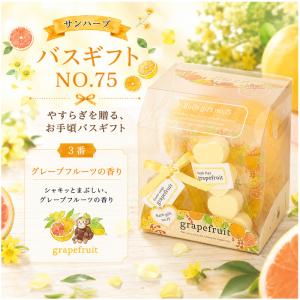 ぷちギフト 入浴剤 1000円以下 お祝い 誕...の詳細画像5