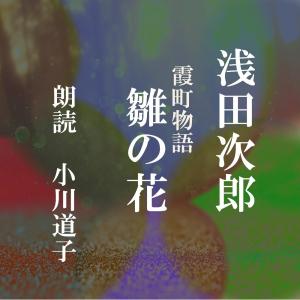 ［ 朗読 CD ］雛の花 霞町物語より  ［著者：浅田次郎]  ［朗読：小川道子］ 【CD1枚】 全文朗読 送料無料｜store-kotonoha