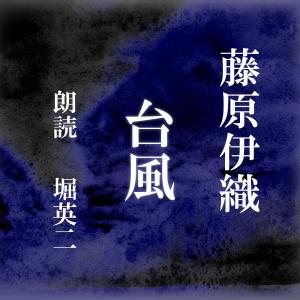 ［ 朗読 CD ］台風  ［著者：藤原伊織]  ［朗読：堀英二］ 【CD2枚】 全文朗読 送料無料｜store-kotonoha