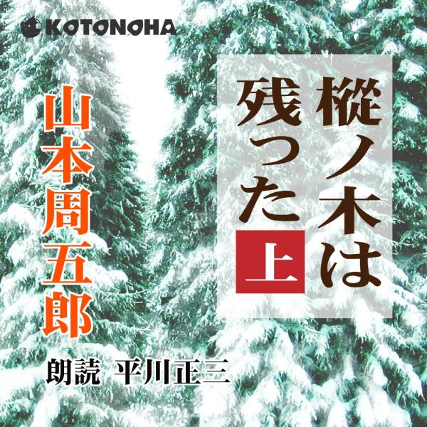 ［ 朗読 CD ］樅ノ木は残った　上  ［著者：山本周五郎]  ［朗読：平川正三］ 【CD9枚】 全...