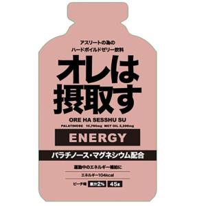 ソノタ OTHER オレは摂取すTパウチ エネルギージェル フィットネス 健康 ゼリー 301200