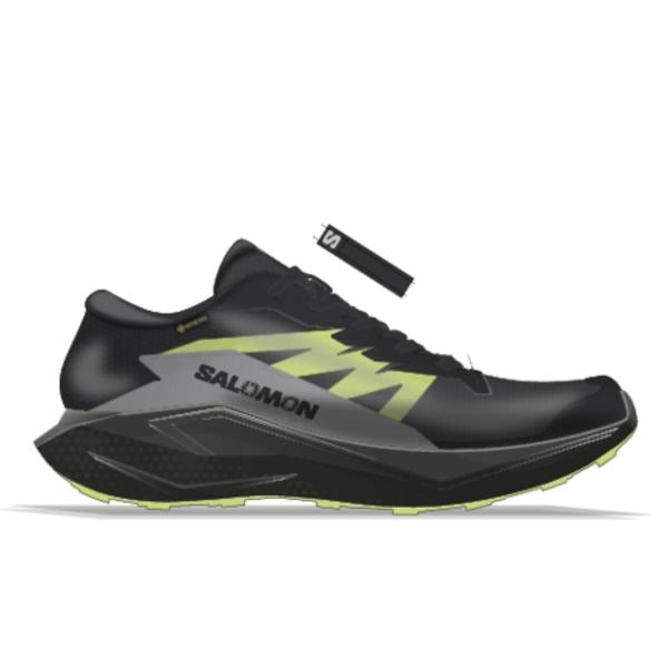 サロモン SALOMON ALPHAGLIDE GTX アウトドアウォーキング シューズ メンズ B...