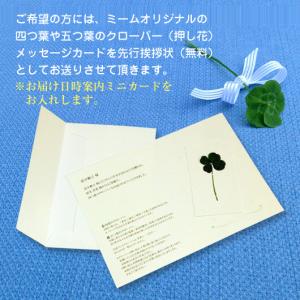 銀座千疋屋 ギフト アイスクリーム 銀座プレミ...の詳細画像3