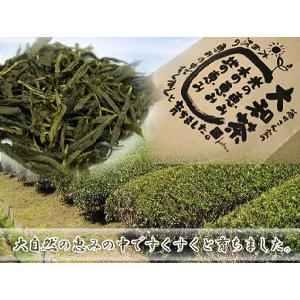 栽培期間中農薬不使用　日本茶　藤井さん家の大和茶（番茶）　250g