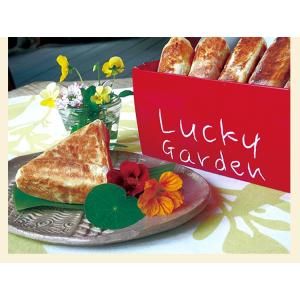 カレーのナン包み５個入り　ラッキーガーデン　奈良　カレーパン　惣菜　ごはん　おやつ　スリランカ　送料無料
