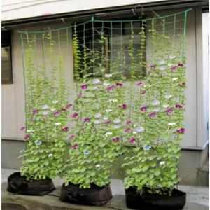 つる栽培ネット 園芸ネット 野菜誘引 10cm角目 1.8m*2.7m ゴーヤ ヘチマ 朝顔 カーテン 田畑 菜園 園芸用品 緑｜store-ocean