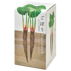 聖新陶芸 おうちで根菜栽培セット ごぼうの商品画像