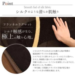 ラグ ラグマット 洗える カーペット 2畳 北...の詳細画像3