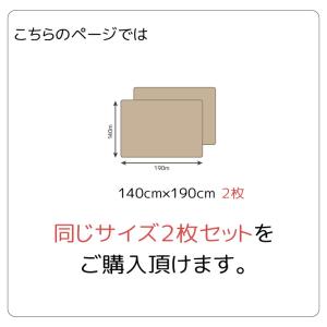 マルチカバー 長方形 2枚セット ソファ 洗え...の詳細画像1