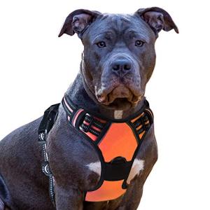 Homein 犬 ハーネス 中型犬 8-23kg 犬用胴輪 犬への負担が少ない 引っ張り防止 サイズ調整可能 脱着簡単 夜間反射 安心散歩 通気