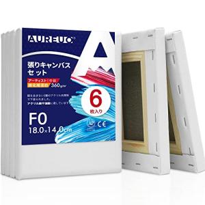 AUREUO 張りキャンバス セット F0  中目 綿化繊混紡 6枚 初心者 絵画用具 芸術絵創作 現代油絵 美術装飾 水彩画
