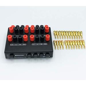 スピーカーセレクター 2in ⇔ 4out バナナプラグ 24本付