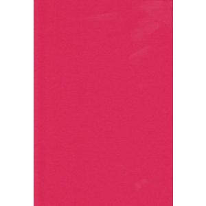 エスケント 色画用紙 四切 あか 10枚 231710