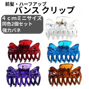 バンスクリップ 小さめ 4cm 2個セット ヘア...の商品画像