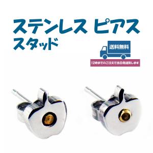 ピアス レディース メンズ ステンレス 金属アレ...の商品画像