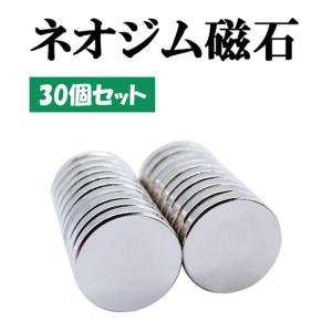 ネオジム磁石 マグネット 強力 丸形 10mmx2mm 30個セット