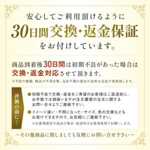 マグネットピアス メンズ レディース イヤリン...の詳細画像5