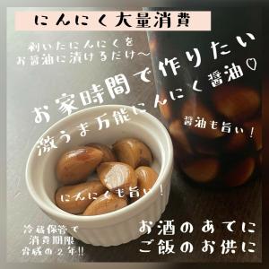 【送料無料】【にんにく種球】【20片】 種 球...の詳細画像5