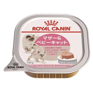 ロイヤルカナン FHN-WET マザー＆ベビーキャット 猫用 100g×12個｜storebambi