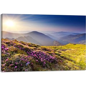 アンリ・マティス 版画集『ジャズ』「馬、曲馬師、道化師」アート