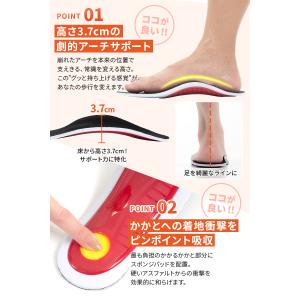 【2点以上で20%OFFクーポン_理学療法士監...の詳細画像3