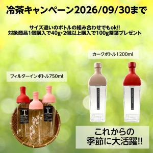 HARIO ハリオフィルターインボトル 750...の詳細画像1