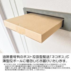 シール 最強王図鑑 キラッとシール ホログラム...の詳細画像1