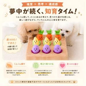 知育玩具 犬 おもちゃ ノーズワーク マット ...の詳細画像2