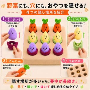 知育玩具 犬 おもちゃ ノーズワーク マット ...の詳細画像3