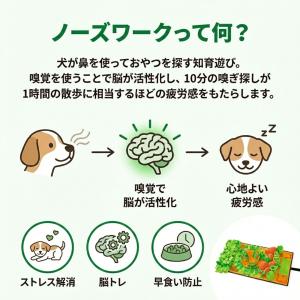 ノーズワークマット 犬 おもちゃ 知育玩具 訓...の詳細画像2