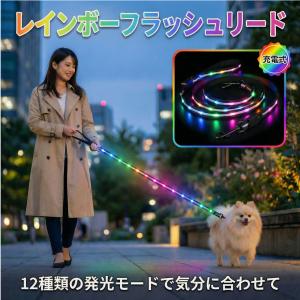 犬 リード 光る LED レインボー フラッシュリード 1.5m 充電式 Type-C 事故防止 散歩 ライト 小型犬 中型犬 大型犬 70kg 耐荷重 反射材 防水 全犬種