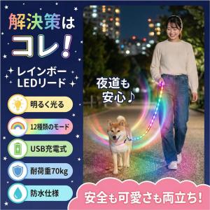 犬 リード 光る LED レインボー フラッシ...の詳細画像2