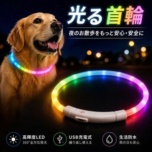 光る首輪 犬 レインボー 虹色 LED 充電式 Type-C ライト 安全 事故防止 サイズ調整 シリコン 柔らかい 脱落防止 丈夫 軽量 防水 小型犬 中型犬 大型犬 散歩 夜道