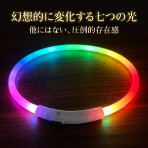 光る首輪 犬 レインボー 虹色 LED 充電式...の詳細画像1