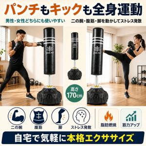 サンドバッグ 自宅 スタンド 自立式 AXIS...の詳細画像4