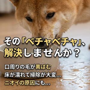 犬 水飲み器 皿 こぼれない 1L 大容量 ペ...の詳細画像1