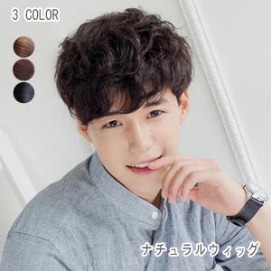 ウィッグ ショート ウィッグ 医療用 ウィッグ メンズ