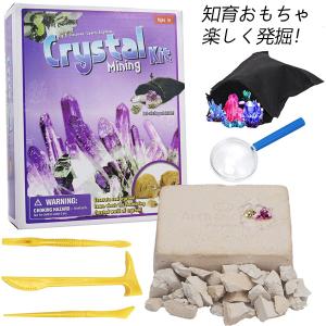 宝石発掘キットの商品一覧 通販 Yahoo ショッピング