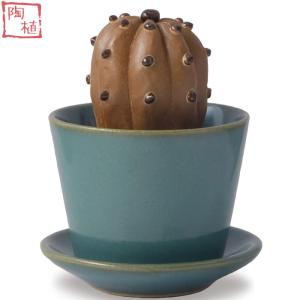 陶植 (陶器のサボテン＋益子焼3号鉢＋受け皿セット) ウチワサボテン