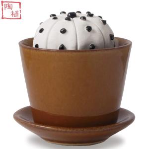 陶植 (陶器のサボテン＋益子焼3号鉢＋受け皿セット) ウチワサボテン