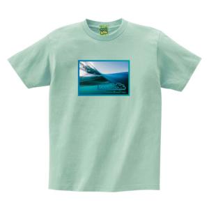 シードレス Seedless Tシャツ gReen ocean s/s tee icegreen グリーンオーシャン アイスグリーン｜stormy-japan