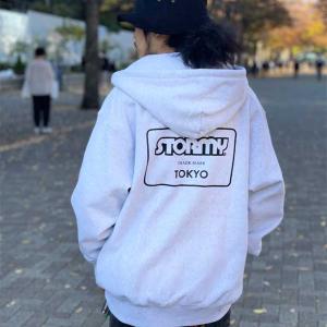 期間限定ポイント10倍！パーカー STORMY ORIGINAL ストーミー LOGO MARK ZIP HOODIE Ash ジップフーディ スウェット メンズ レディース｜stormy-japan