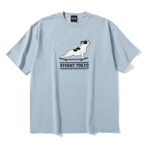 tシャツ STORMY ORIGINALS ストーミー ORIGINAL Frebull S/S T...