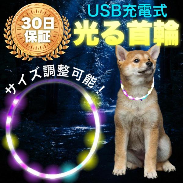 首輪 犬 おしゃれ 小型犬 中型犬 大型犬 光る首輪 LED ライト USB充電式