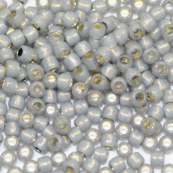 丸大ビーズ パステルグレーインラインシルバー