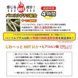 HEAT UP ENERGY CREAM ヒー...の詳細画像2