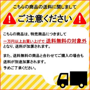 YOW SURF SKATE ヤウ スケートボ...の詳細画像4