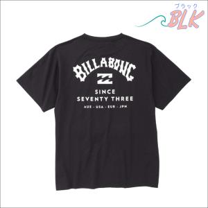 25 SS BILLABONG ビラボン Tシ...の詳細画像3